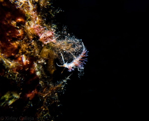 Captured on Tug Boat Rozi in Cirkewwa - Malta by Shirley Calleja 